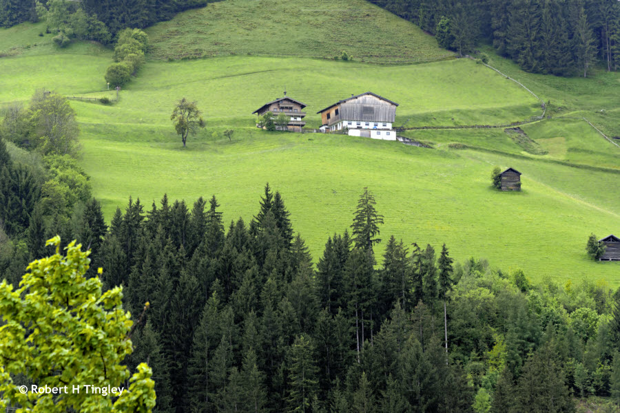 Hillside Scene
